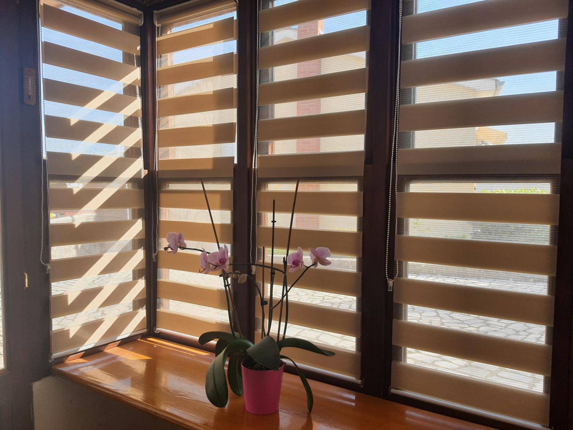 Apartments Vesna Avsec - Krk Town Room photo